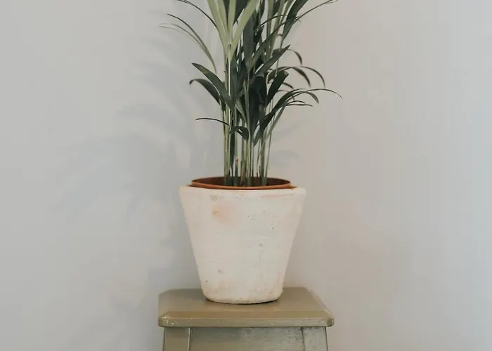 Pico Apartment's Apartmán Câmara de Lobos