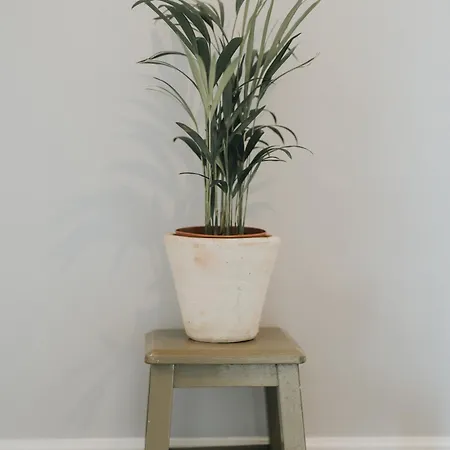 Pico Apartment's شقة Câmara de Lobos